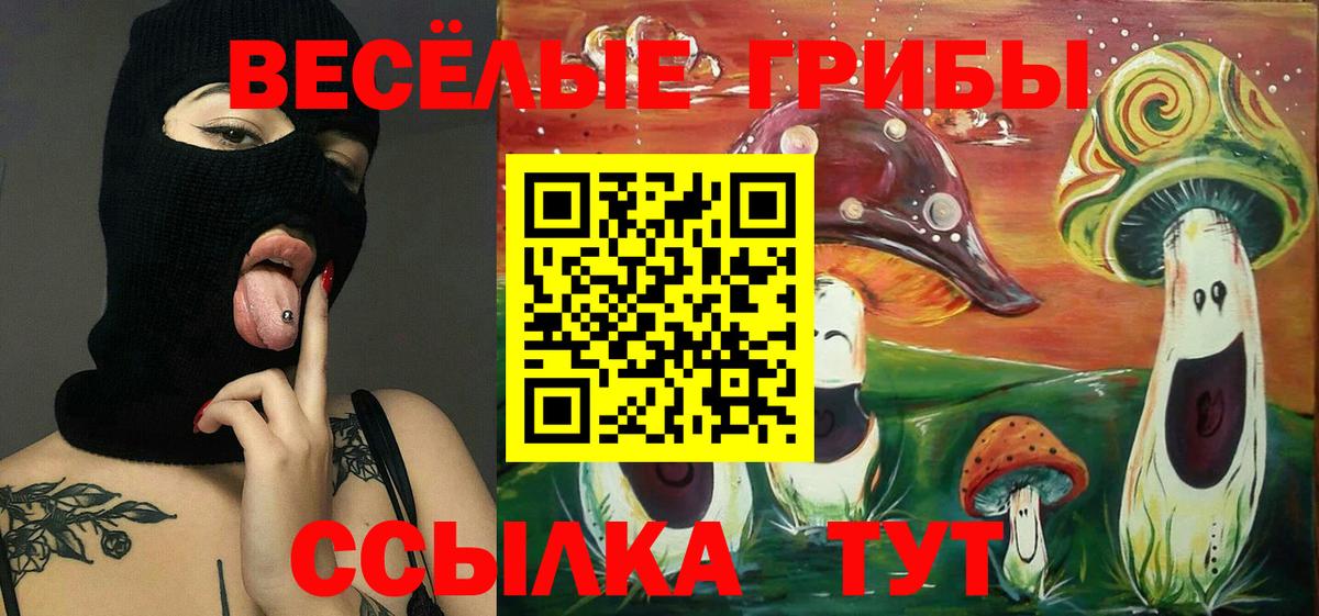 Псилоцибиновые грибы мицелий  Псилоцибиновые грибы GOLDEN TEACHER  Вход с VPN  Россошь 