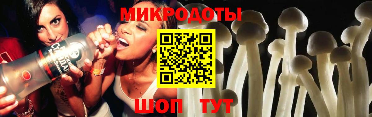 Псилоцибиновые грибы GOLDEN TEACHER Россошь